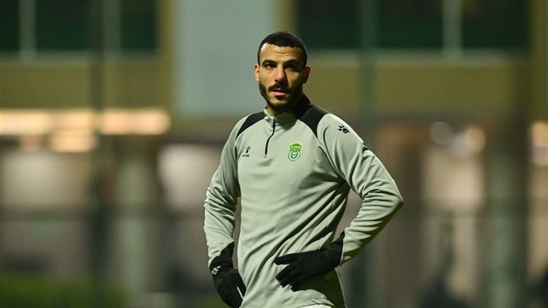 شكري نجيب