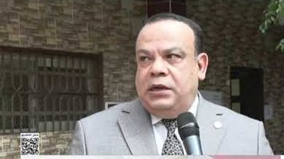 حازم بدوي: نقدر دورالمتابعة العربية والدولية للانتخابات في مصر