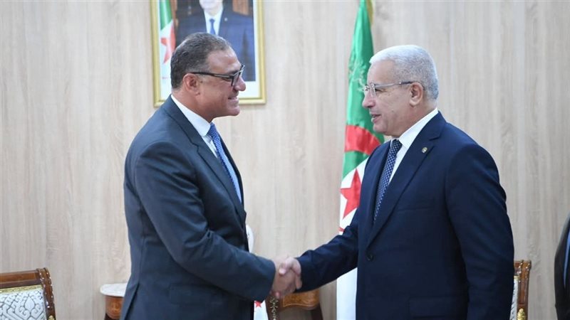 السفير المصري في الجزائر 