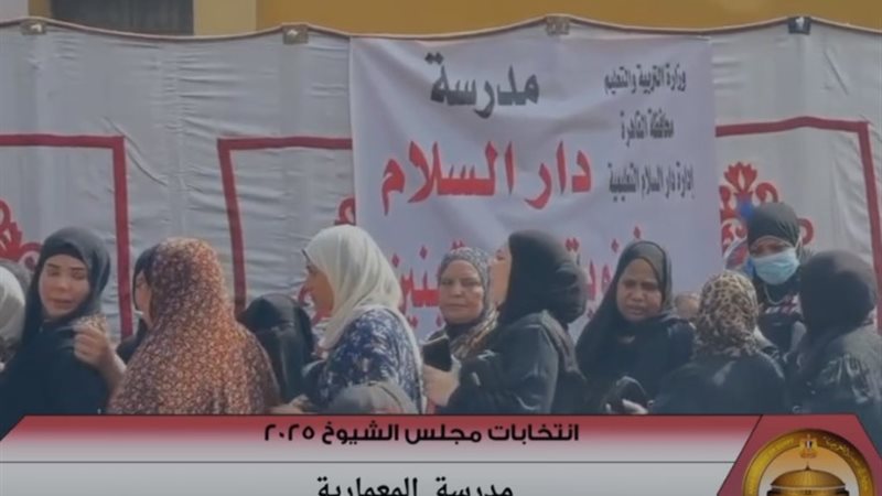 التصويت في انتخابات مجلس الشيوخ 