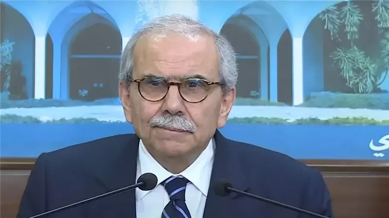 رئيس الوزراء اللبناني 