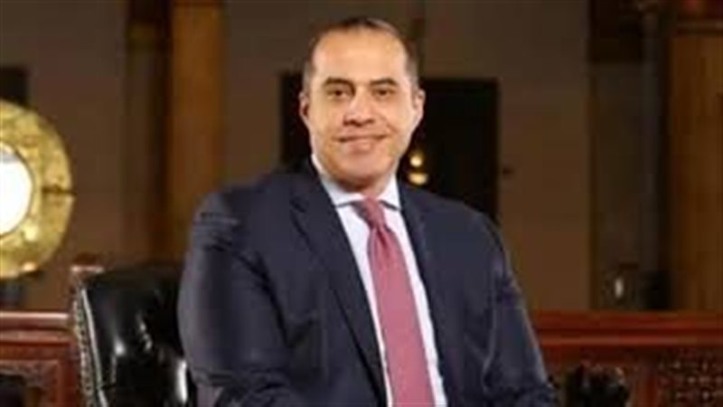 المستشار محمود فوزي، وزير الشؤون النيابية والقانونية 