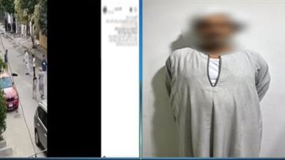 ضبط حارس عقار بتهمة ضرب كلب بعصا خشبية في الجيزة  