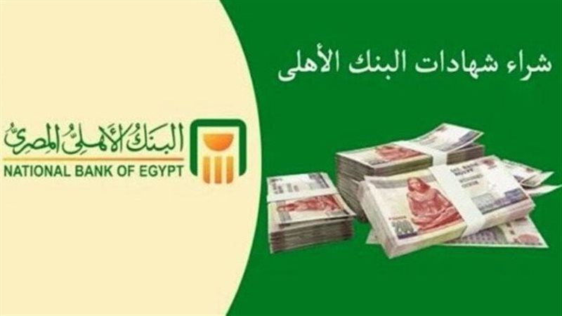 شهادات الادخار 
