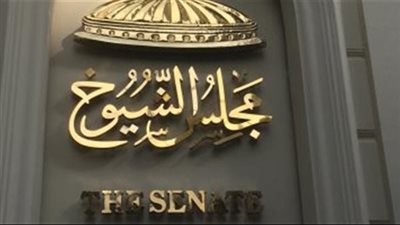 بعد قليل.. الوطنية للانتخابات تعلن النتيجة الرسمية لانتخابات مجلس الشيوخ 2025