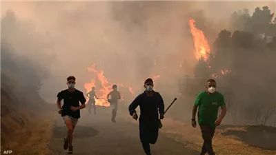 حرائق الغابات تجتاح جنوب أوروبا.. دمار واسع وإجلاء آلاف السكان والسياح