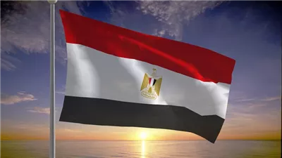 مصادر مصرية تنفي مزاعم إسرائيلية عن مقترح لنقل سلاح حماس للقاهرة