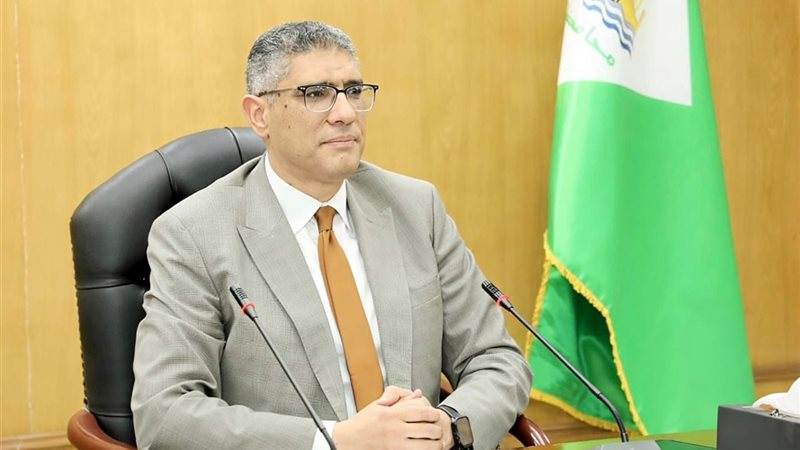 محافظ الجيزة 