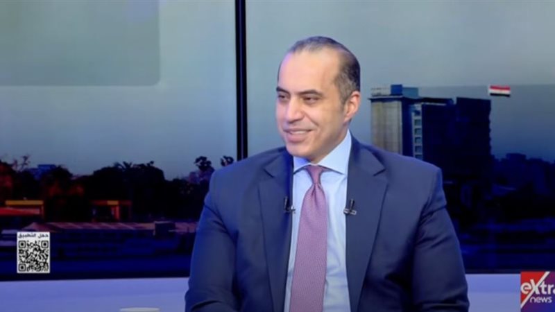 المستشار محمود فوزي، وزير الشؤون النيابية والقانونية