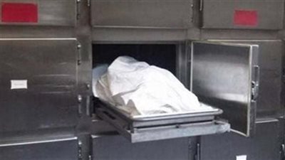 بسبب الخلاف على جرعة مخدرات عاطل يذبح شقيقه داخل منزلهما في إمبابة 