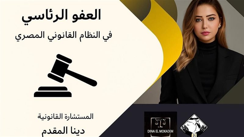المستشارة دينا المقدم 