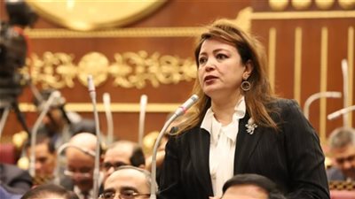 وكيل خارجية الشيوخ: خطة مصر لإعمار غزة أصبحت مشروعًا عربيًا جامعًا