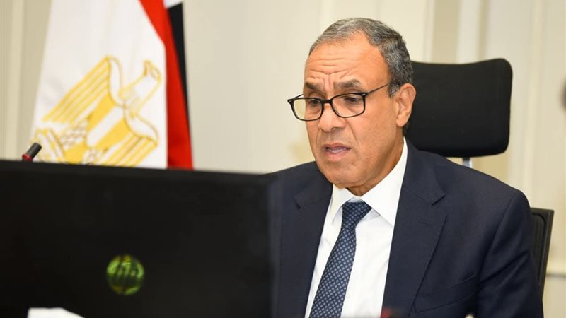 وزير الخارجية بدر عبد العاطي 
