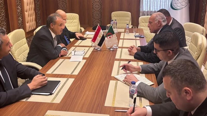 وزيرا خارجية مصر والجزائر 