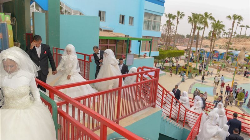 انشطة جمعية الاورمان بالفيوم