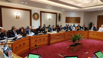 لتعزيز التعاون.. انعقاد اللجنة الدائمة لمتابعة العلاقات المصرية الإفريقية