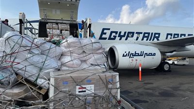 امتدادًا لعلاقات الإخوة بين البلدين.. مصر ترسل شحنة مستلزمات طبية إلى إريتريا
