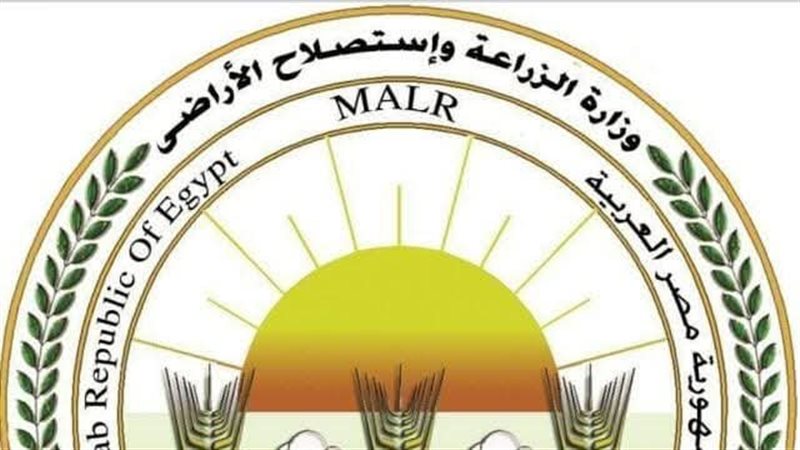 ارشيفية