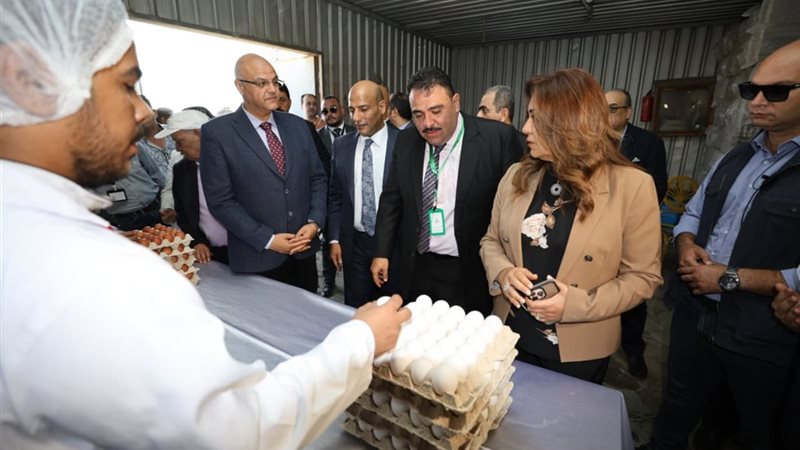  وزيرة التنمية المحلية 