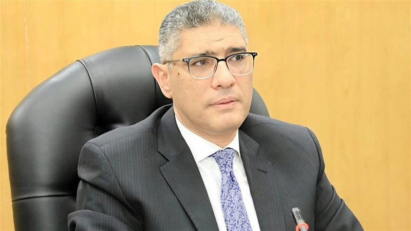محافظ الجيزة 