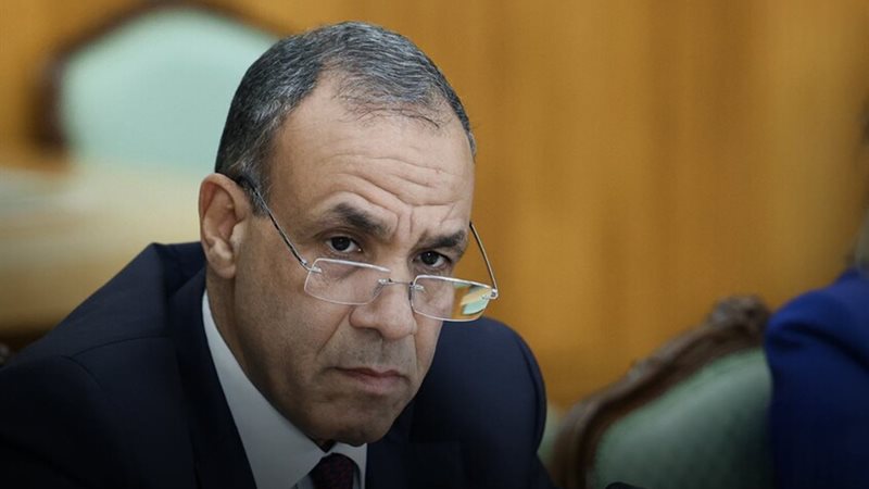 بدر عبد العاطى وزير الخارجية