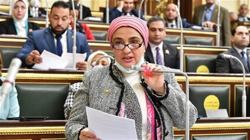 النائبة سميرة الجزار عضو مجلس النواب 