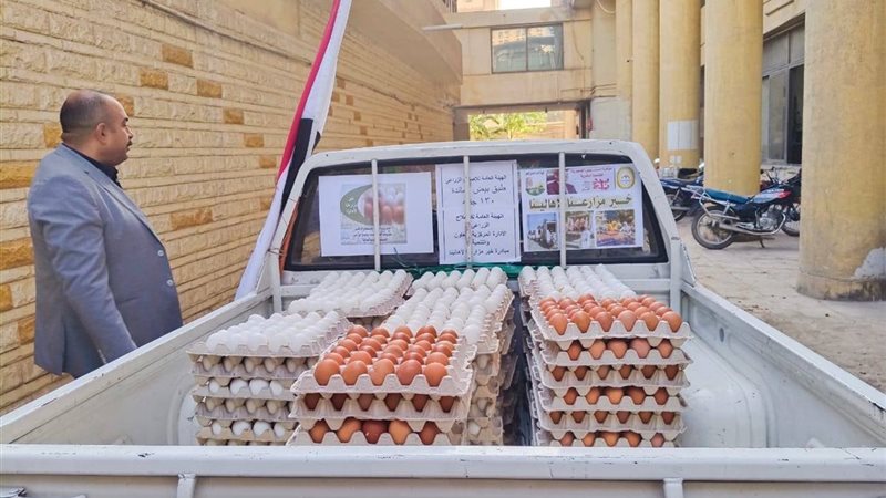 بيض المائدة