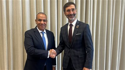 وزير الخارجية يؤكد لنظيره السلوفاكي: إقامة الدولة الفلسطينية يعيد الأمن والاستقرار للمنطقة