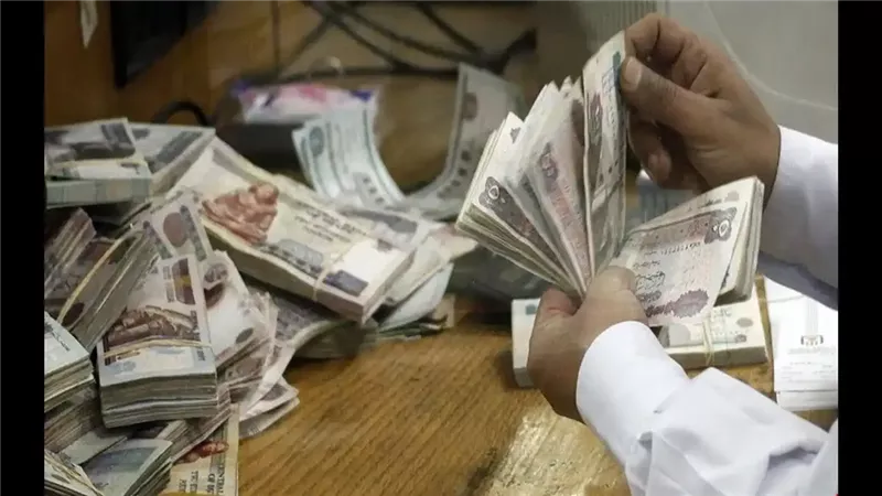 مرتبات 