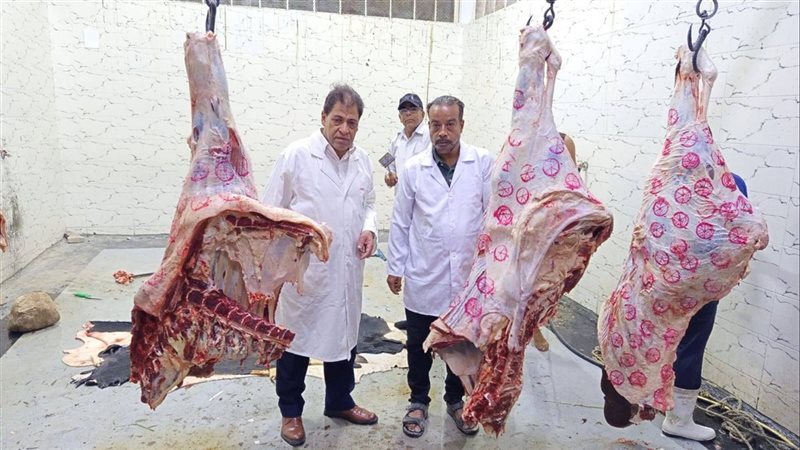 جانب من الجولة بالمجازر