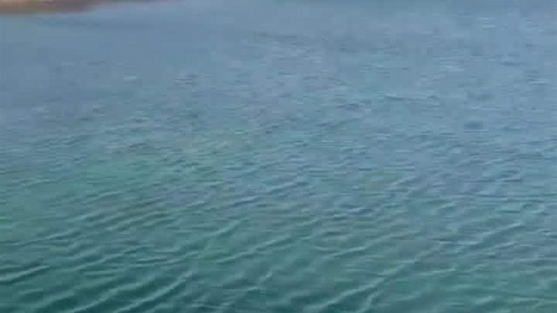 البحيرة