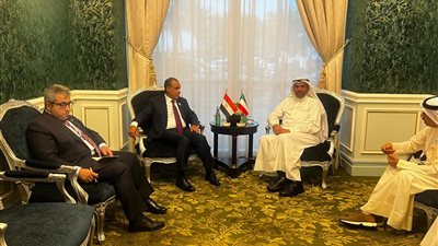 مصر والكويت تؤكدان على ضرورة إيقاف الحرب الإسرائيلية على قطاع غزة