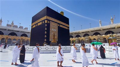 ميكنة إجراءات الحج السياحي تسهل تسجيل الحجاج.. والعمل مستمر لإصدار باقي التأشيرات 