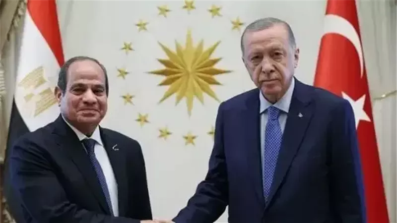 الرئيس عبد الفتاح السيسي ونظيره التركي 