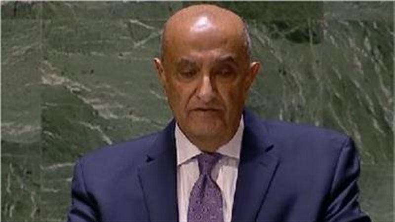 السفير ماجد عبد الفتاح