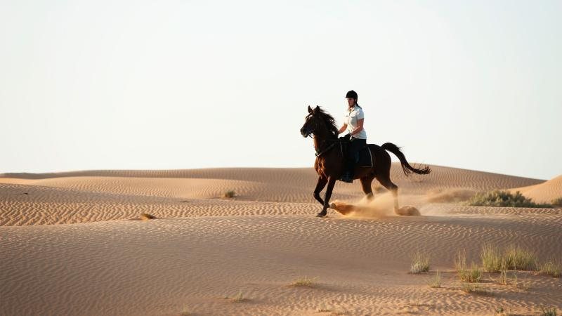 رؤية السفر على الخيل 