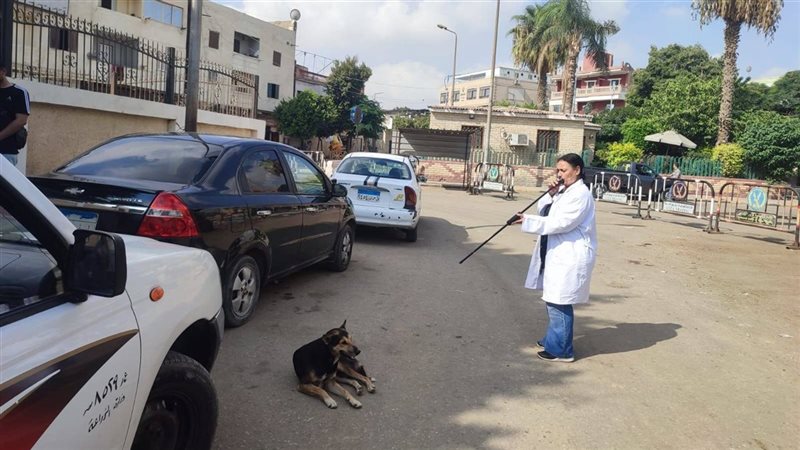 تطعيم الكلاب الحرة بالمنطقة الأثرية