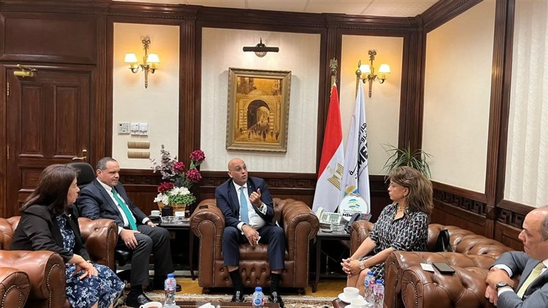 تنمية المشروعات
