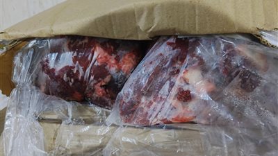 تموين الغربية يضبط نصف طن دجاج مفروم ولانشون مجهول المصدر