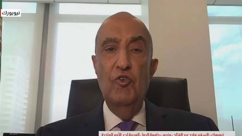 السفير ماجد عبد الفتاح 