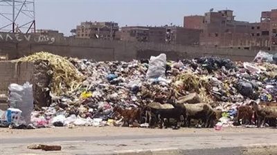 رفع 110 أطنان مخلفات وقمامة من أبوقرقاص بالمنيا