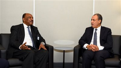 وزير الخارجية يؤكد موقف مصر الداعم لأمن واستقرار السودان 