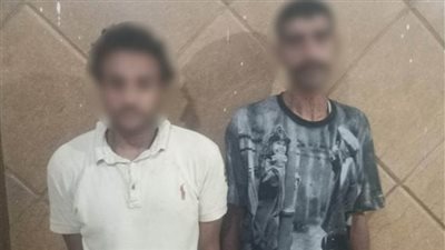 خطة مُحكمة لسرقة هاتف سيدة تنتهي بسقوط لصين في الجيزة