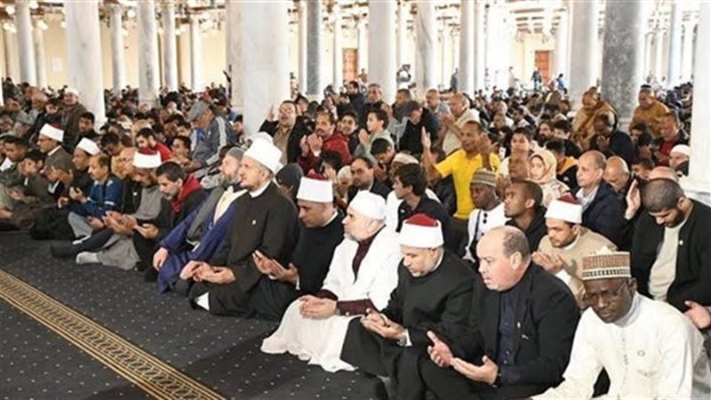 ارشيفية