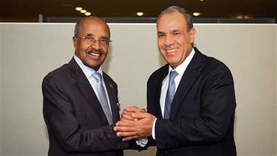 مصر وإريتريا تبحثان تعزيز التعاون المشترك في القرن الأفريقي وأمن البحر الأحمر