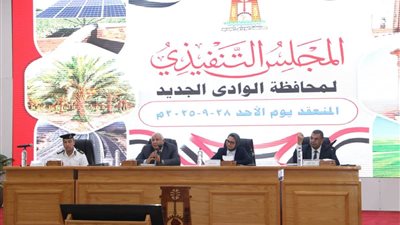 محافظ الوادي الجديد يصدر 11 قرارا خلال اجتماع المجلس التنفيذي للمحافظة