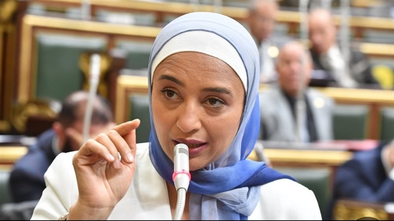 النائبة أميرة ابو شقة