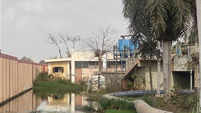عجز محطة الصرف بصفط تراب في الغربية يهدد الأهالي بكارثة بيئية
