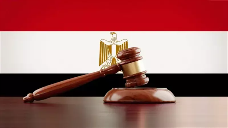 قانون الإجراءات الجنائية الجديد 