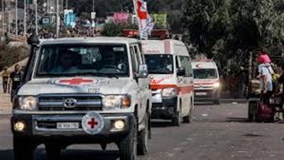 «هشام مهنا»: الصليب الأحمر مستعد للوساطة الإنسانية فور إعلان وقف إطلاق النار